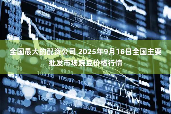 全国最大的配资公司 2025年9月16日全国主要批发市场豌豆价格行情