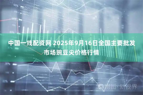 中国一线配资网 2025年9月16日全国主要批发市场豌豆尖价格行情