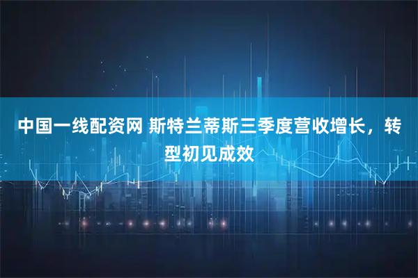 中国一线配资网 斯特兰蒂斯三季度营收增长，转型初见成效