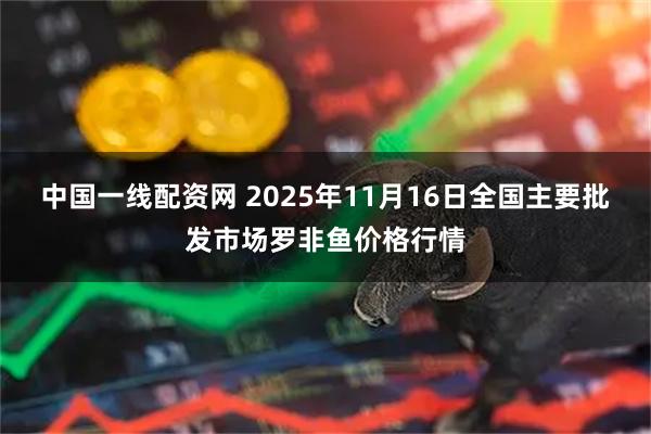 中国一线配资网 2025年11月16日全国主要批发市场罗非鱼价格行情