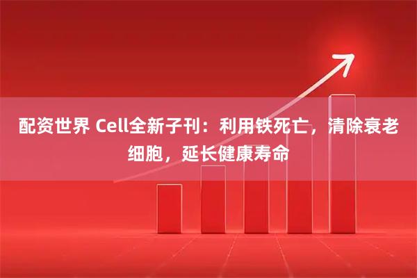 配资世界 Cell全新子刊：利用铁死亡，清除衰老细胞，延长健康寿命