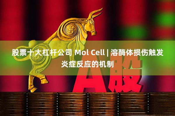 股票十大杠杆公司 Mol Cell | 溶酶体损伤触发炎症反应的机制